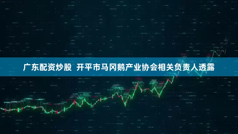 广东配资炒股  开平市马冈鹅产业协会相关负责人透露