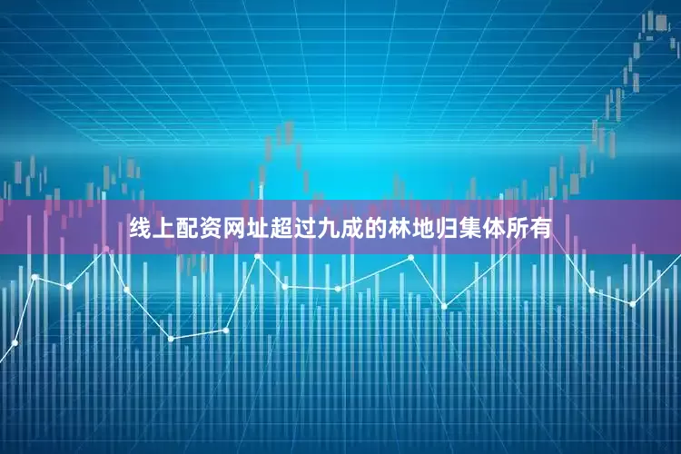 线上配资网址超过九成的林地归集体所有